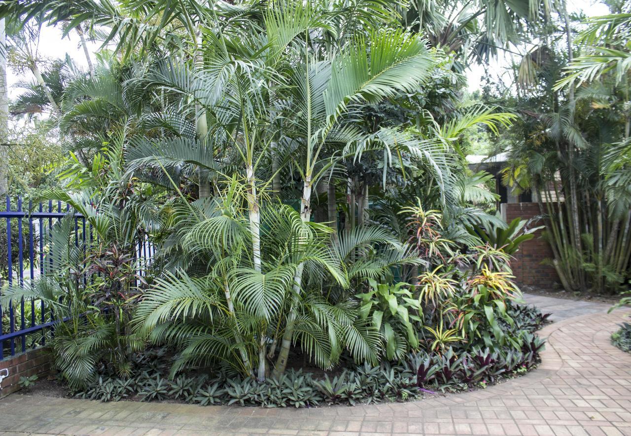 Avalone Guest House Saint Lucia Estuary 外观 照片